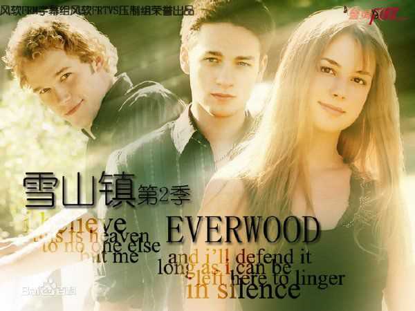 精选艾米丽·万凯普(Emily VanCamp)