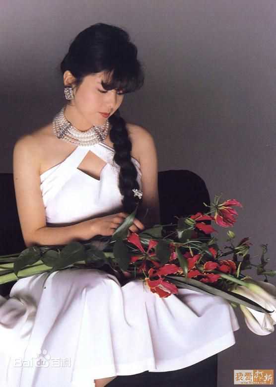 最全泽口靖子(沢口靖子)素颜照