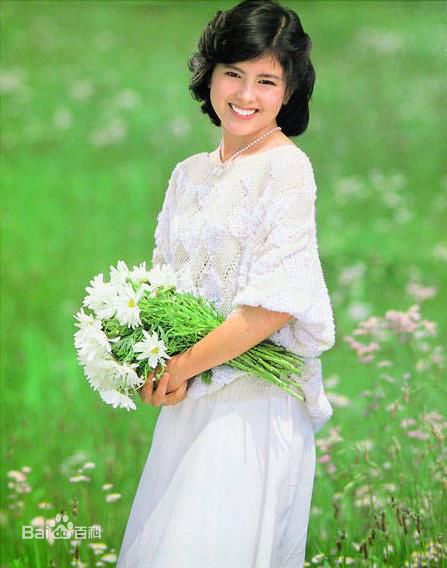 最新泽口靖子(沢口靖子)精彩图册