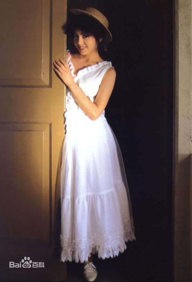 最新泽口靖子(沢口靖子)精彩图册