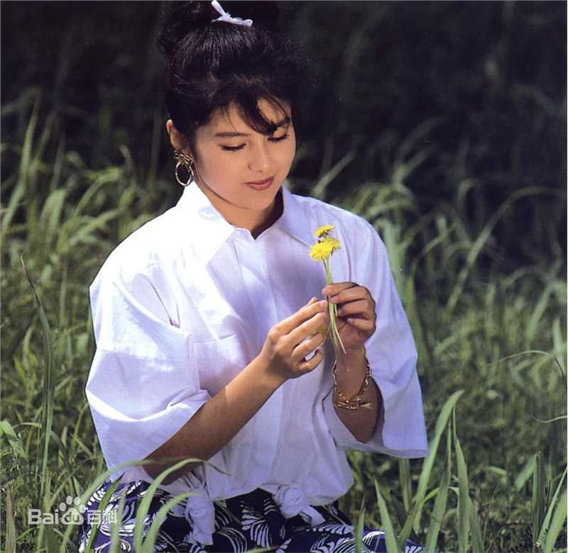 最新泽口靖子(沢口靖子)精彩图册