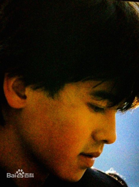 最全野村宏伸(のむら ひろのぶ HIRONOBU NOMURA)壁纸