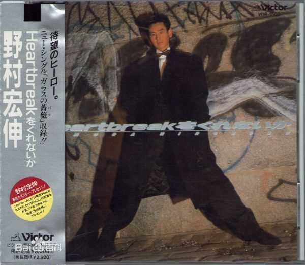 精选野村宏伸(のむら ひろのぶ HIRONOBU NOMURA)