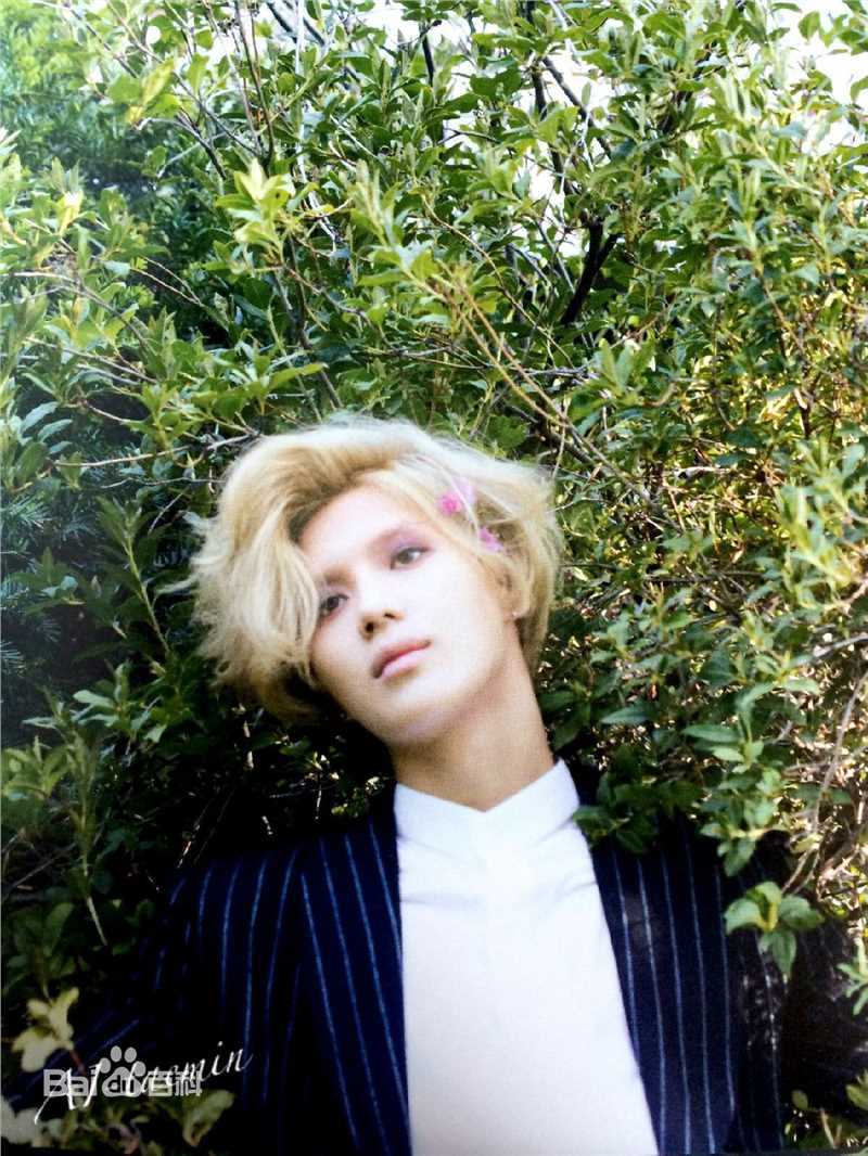 李泰民(/LeeTaemin)Stylish性感图片图集