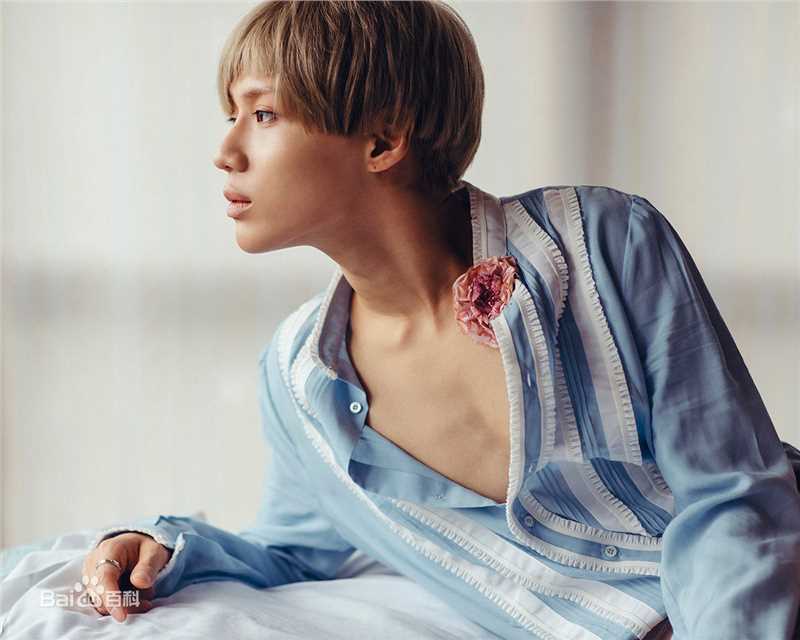 李泰民(/LeeTaemin)Stylish性感图片图集