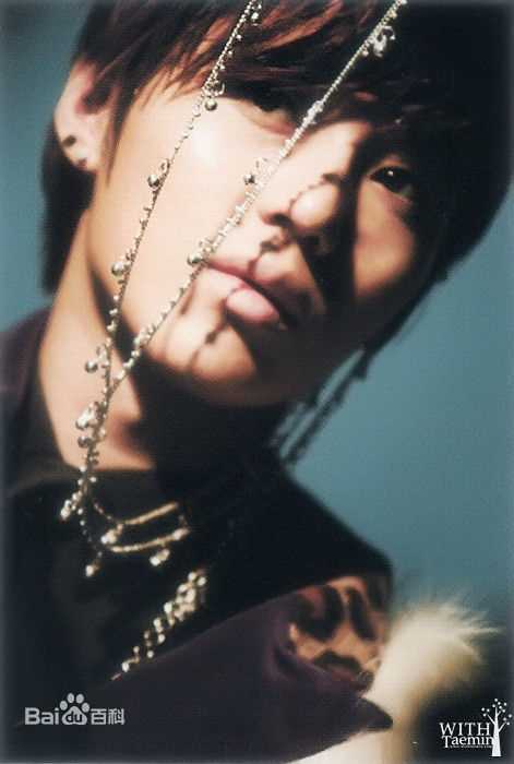 李泰民(/LeeTaemin)Stylish性感图片图集