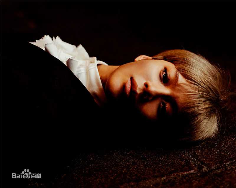 李泰民(/LeeTaemin)Stylish性感图片图集