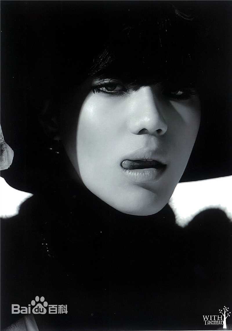 李泰民(/LeeTaemin)Stylish性感图片图集