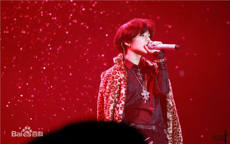 李泰民(/LeeTaemin)Live Show素颜照相册