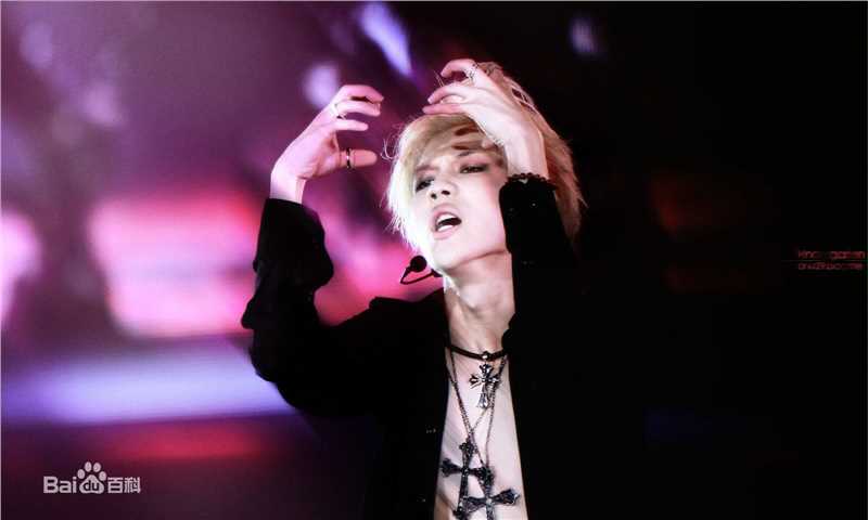 李泰民(/LeeTaemin)Live Show素颜照相册