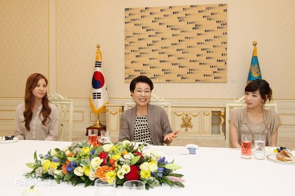 少女时代(韩文： 日文：しょうじょじだい 英文：Girls' Generation)受总统夫人之邀访问青瓦台壁纸壁纸