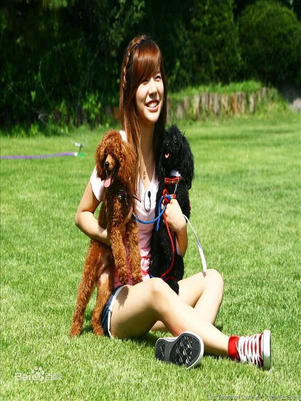 最新少女时代(韩文： 日文：しょうじょじだい 英文：Girls' Generation)精彩图册5