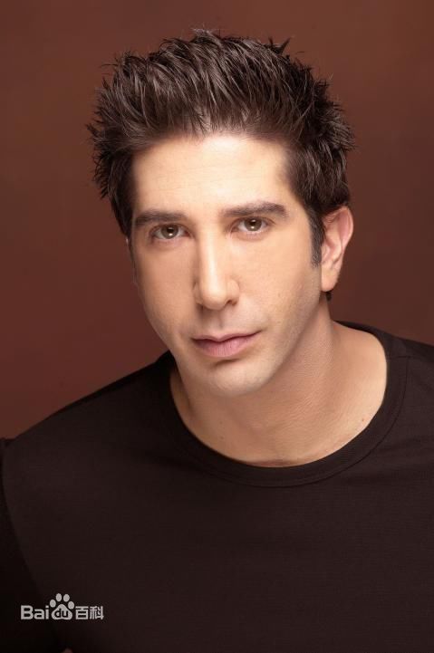 高清大卫·修蒙(David Lawrence Schwimmer)图片