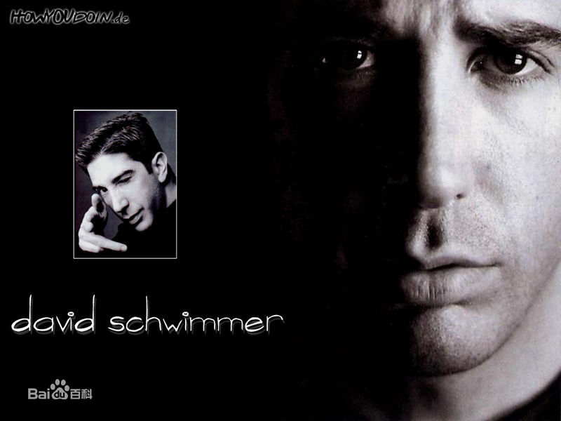 高清大卫·修蒙(David Lawrence Schwimmer)图片