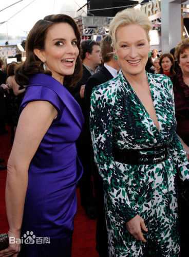 最优质蒂娜·菲(Elizabeth Stamatina Fey)生活照