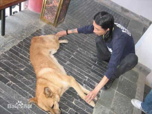 谢天笑生活中的图册