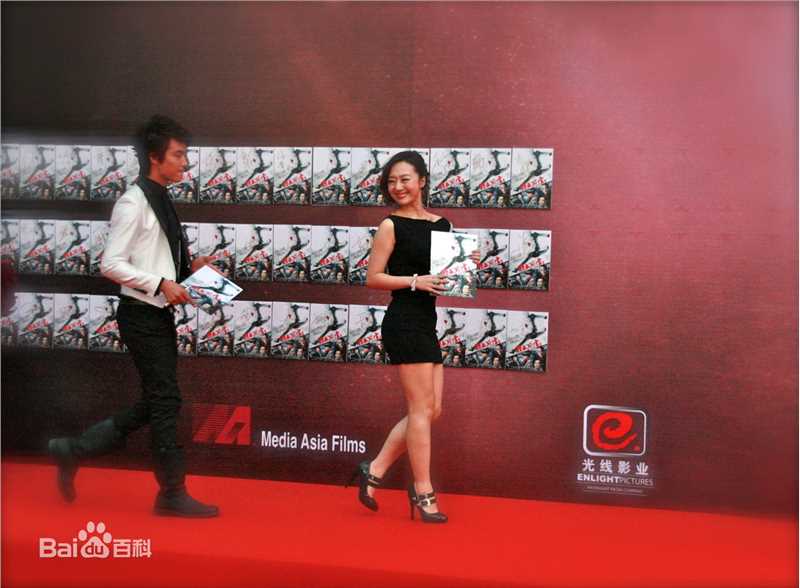 精选刘鑫精彩图册