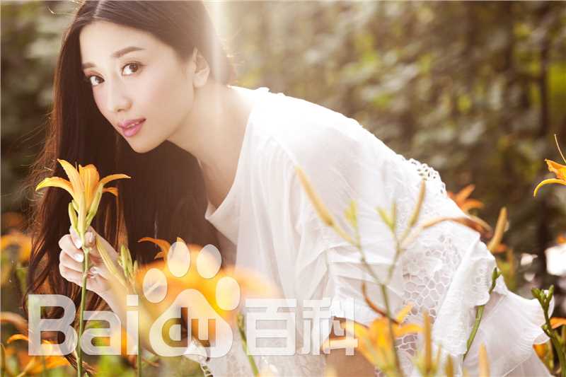 最全章婷婷壁纸