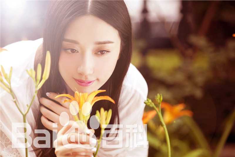 最全章婷婷壁纸