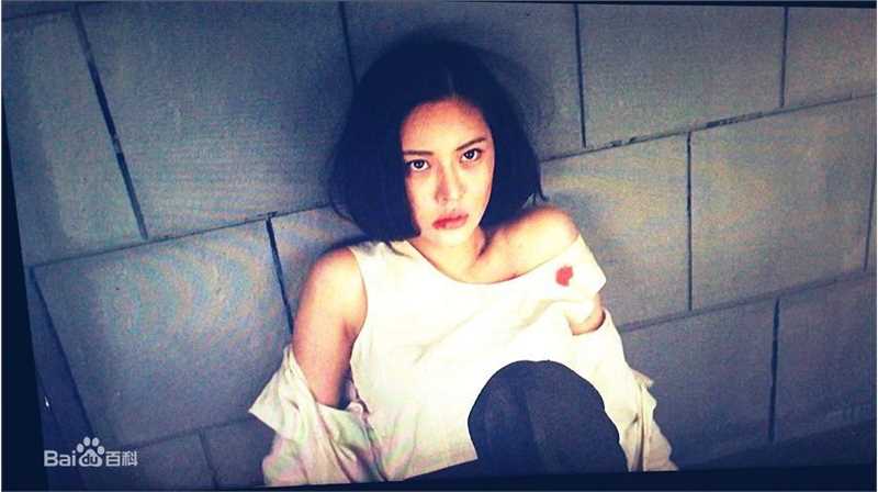 房鹿(fanglu)新燕子李三前后照片