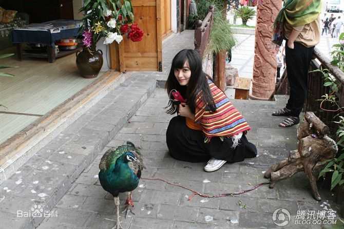 罗震环(Kimiko)生活照性感图片图集