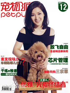 王碧儿最优质杂志封面相册