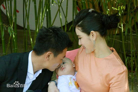 王碧儿为儿子办百日宴壁纸壁纸