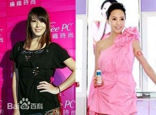 蔡诗芸(Dominique Tsai(CAI Shi-Yun))生活艺术照一图片图册