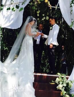 蔡诗芸(Dominique Tsai(CAI Shi-Yun))王阳明澳洲庄园大婚 唯美婚纱照曝光图片图集