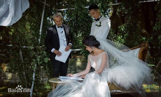 蔡诗芸(Dominique Tsai(CAI Shi-Yun))王阳明澳洲庄园大婚 唯美婚纱照曝光图片图集