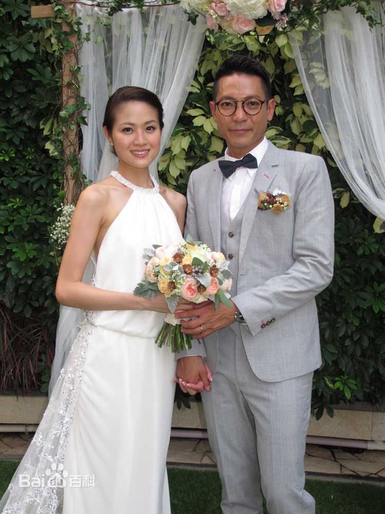 高清陆骏光(Alan Luk)图片