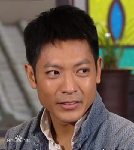 高清陆骏光(Alan Luk)图片