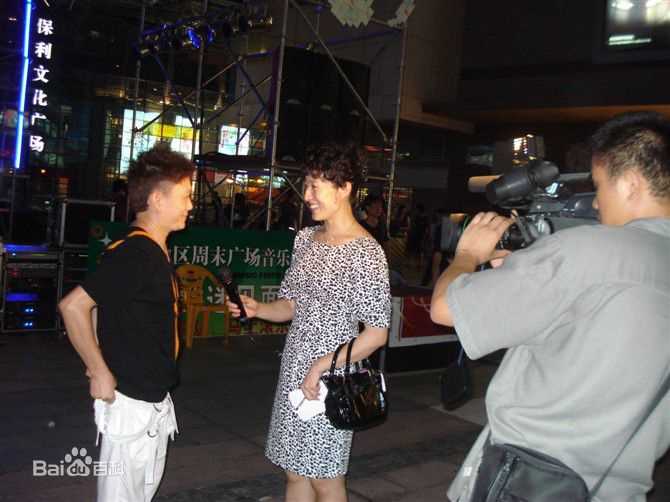 王迪著名歌星演出最优质海报相册