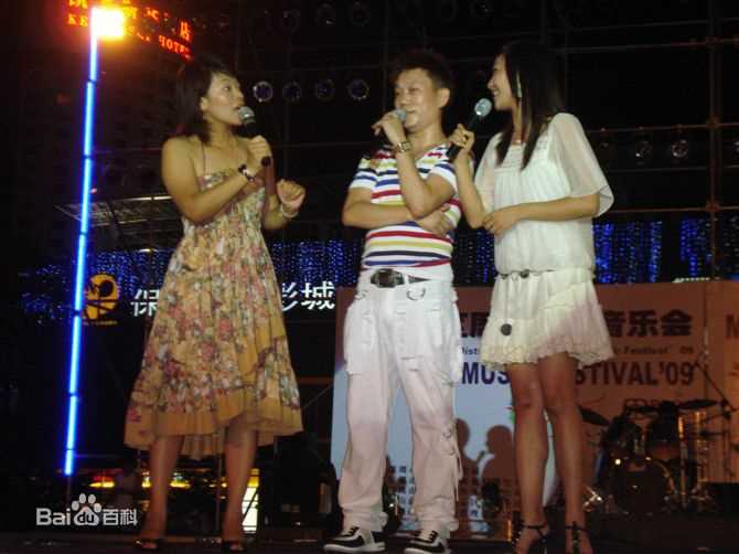 王迪著名歌星演出最优质海报相册