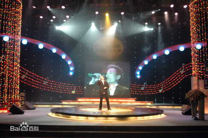 王迪著名歌星演出最优质海报相册