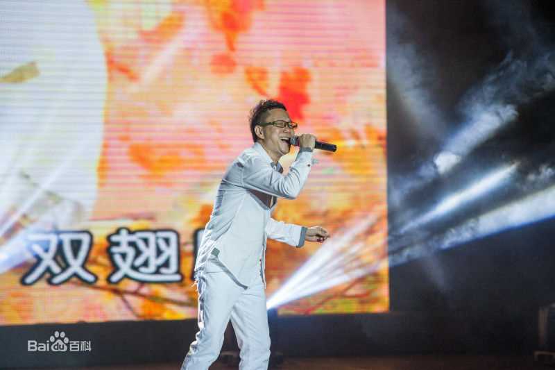 王迪著名歌星演出最优质海报相册