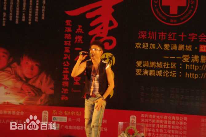 王迪著名歌星演出最优质海报相册