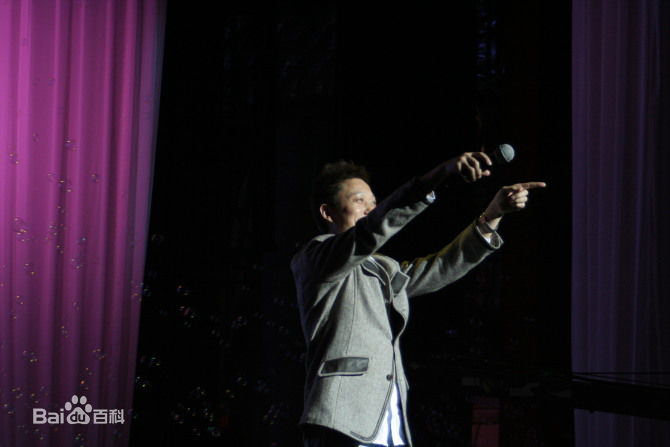 王迪著名歌星演出最优质海报相册