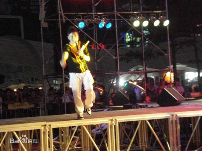 王迪著名歌星演出最优质海报相册