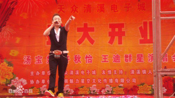 王迪著名歌星演出最优质海报相册