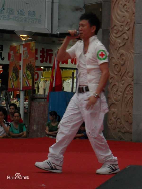 王迪著名歌星演出最优质海报相册