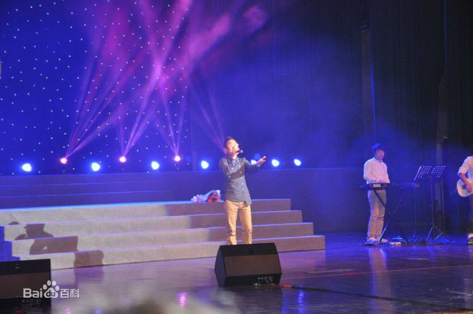 王迪著名歌星演出最优质海报相册