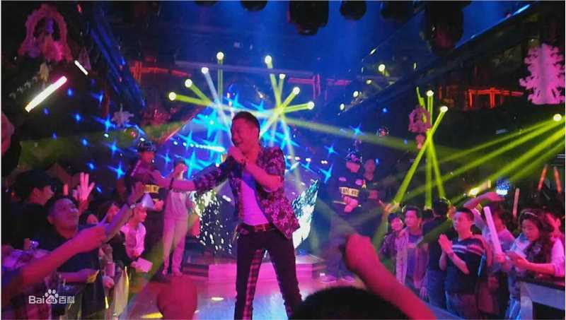 王迪著名歌星演出最优质海报相册