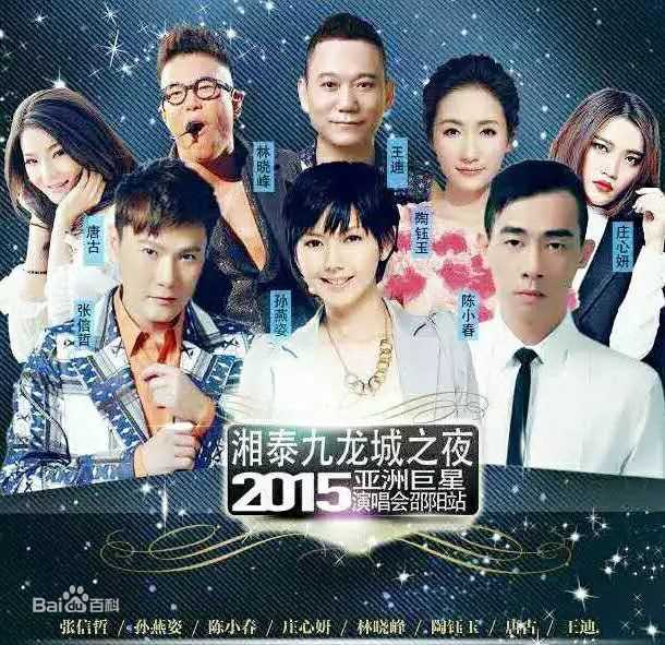 王迪著名歌星演出最优质海报相册