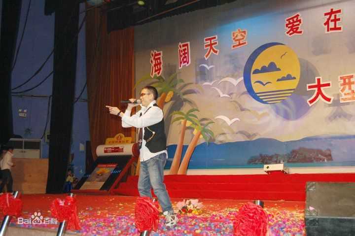 王迪著名歌星演出最优质海报相册