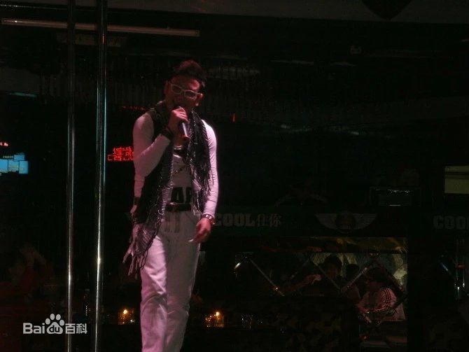王迪著名歌星演出最优质海报相册
