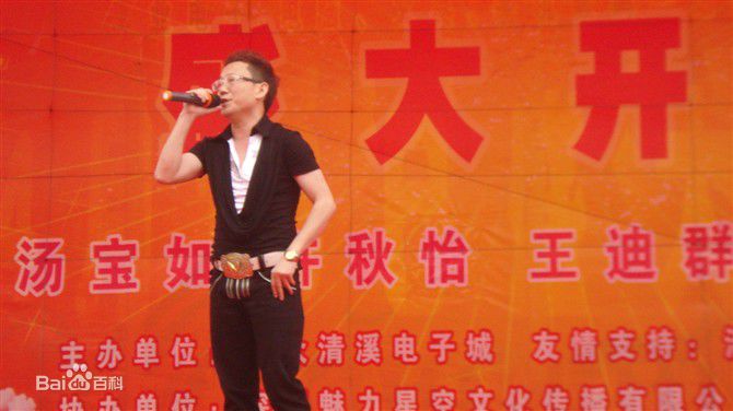 王迪著名歌星演出最优质海报相册