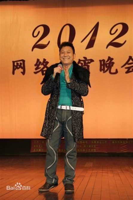 王迪著名歌星演出最优质海报相册