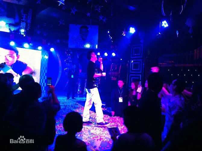 王迪著名歌星演出最优质海报相册