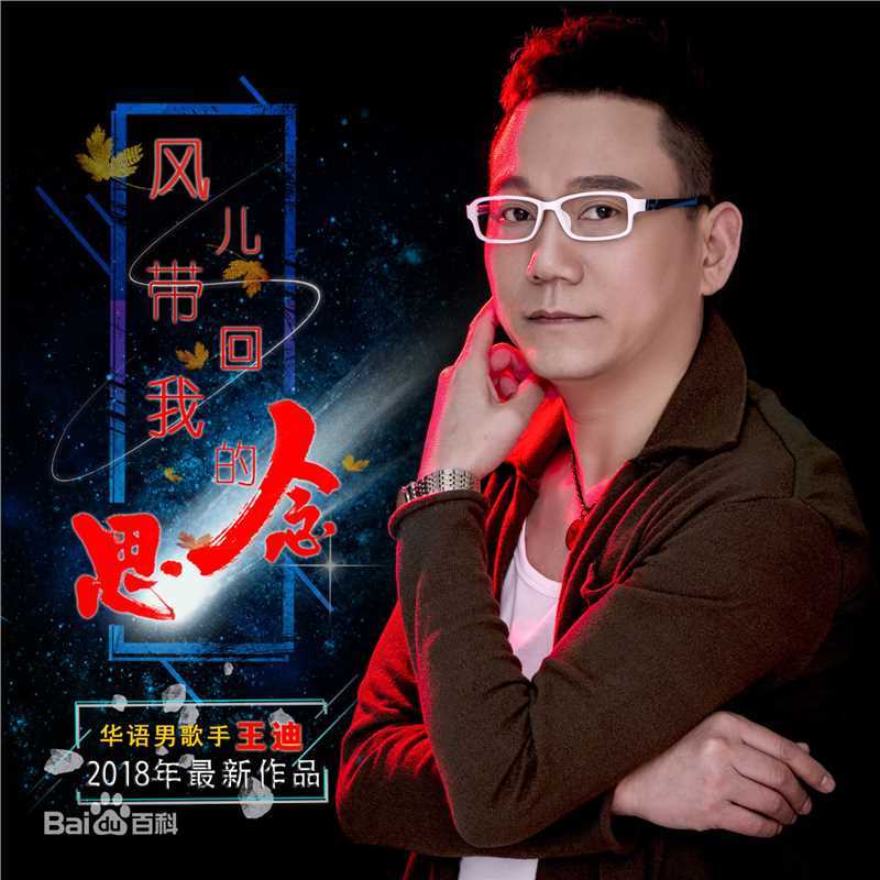 王迪著名歌星专辑图片素颜照相册